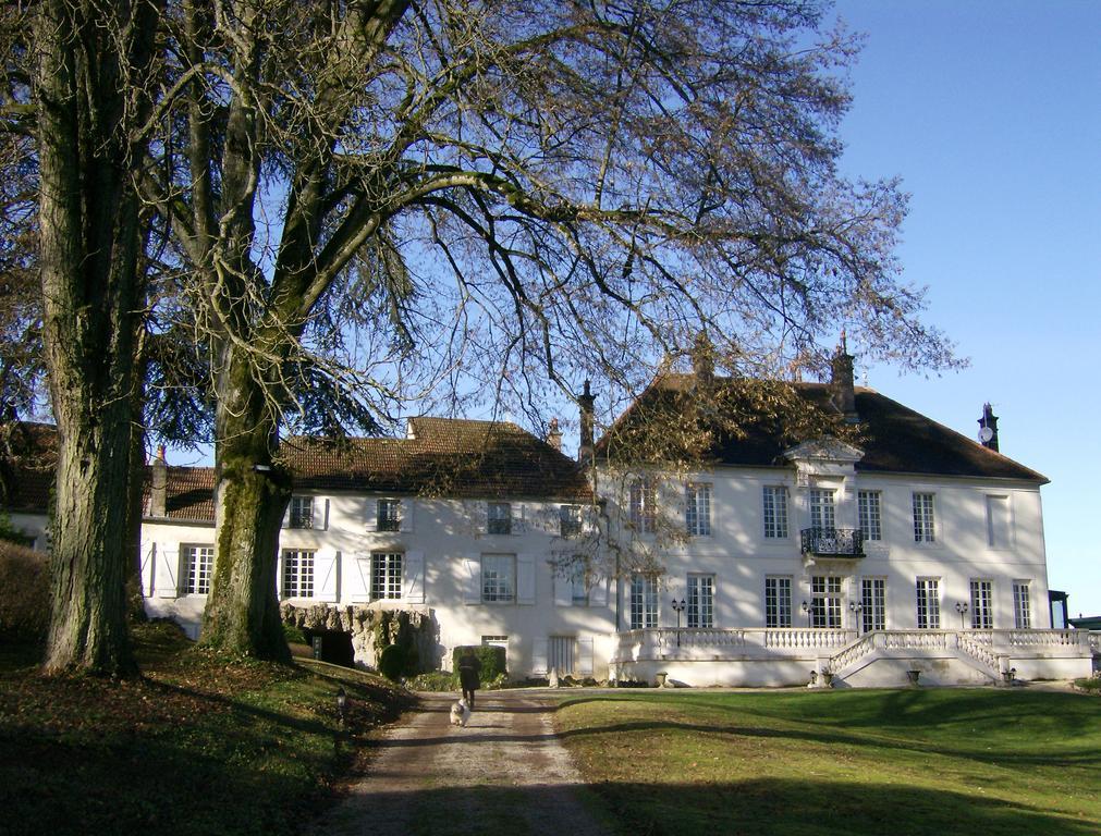 Le Chateau De Prauthoy Екстер'єр фото